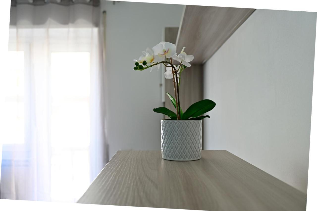 Casa Stefy Apartment Lido di Ostia Exterior photo